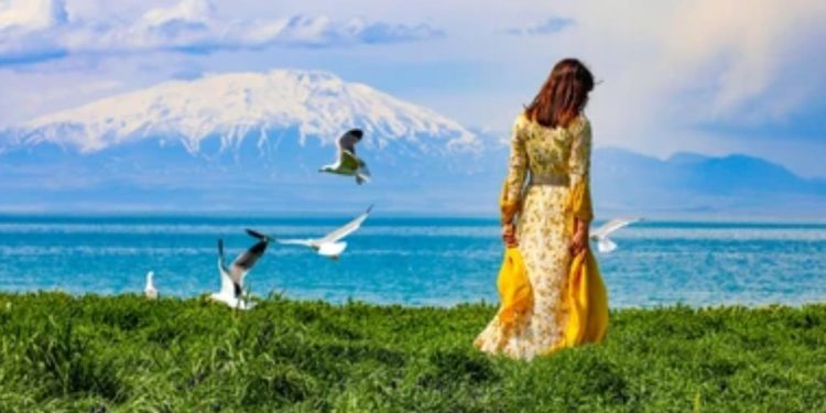 Letraset ên ku tê de beşên