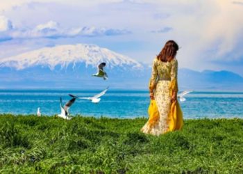 نیکوی دیگنال ئەمیت